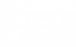 lion sales