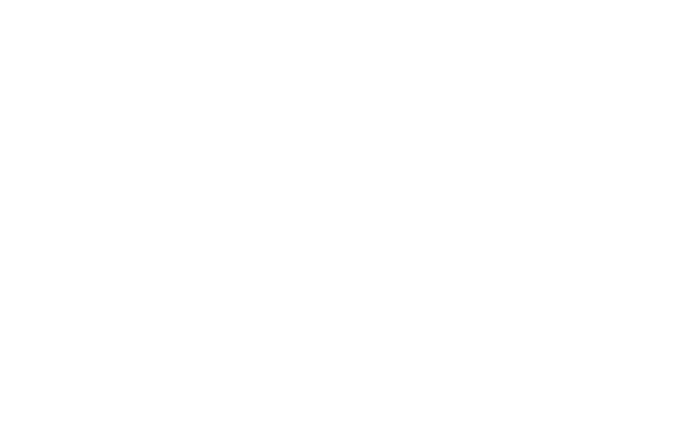 Lion Sales